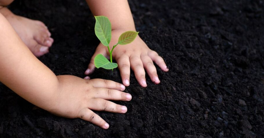 Niño en Levis plantando un árbol joven.